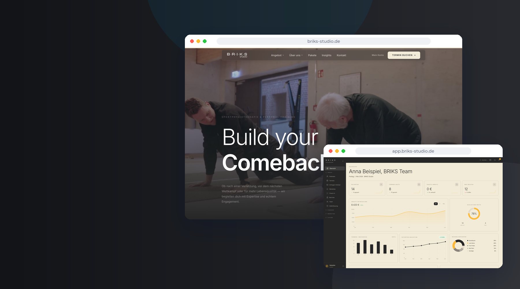 Webseite und Praxis-Dashboard von BRIKS Studio Heidelberg